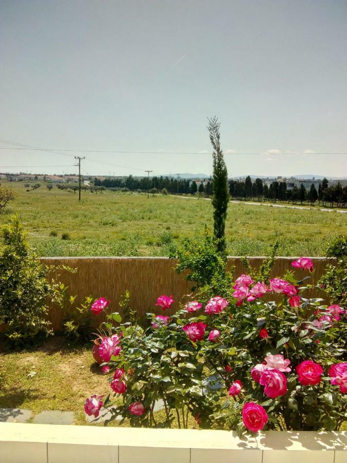 Studio Poseidonia Apartment 75Sqm Corinth Canal Екстер'єр фото